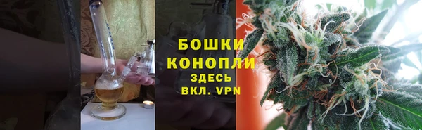 твердый Краснослободск