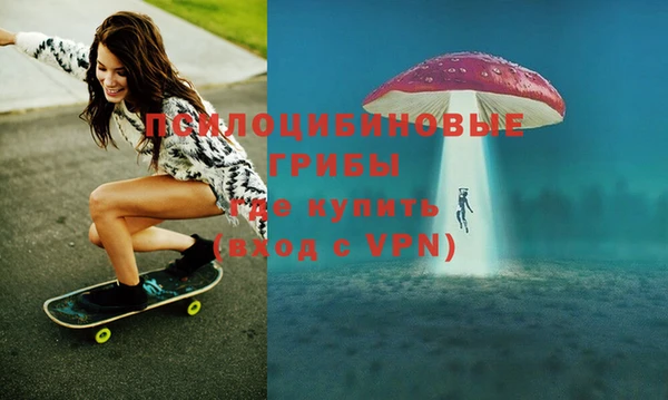 ГАЛЛЮЦИНОГЕННЫЕ ГРИБЫ Краснотурьинск