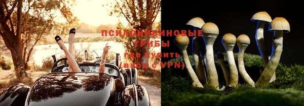 твердый Краснослободск
